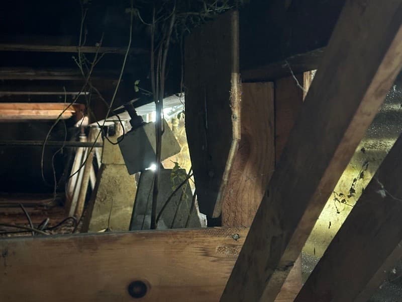 Hidden Problems Under the House